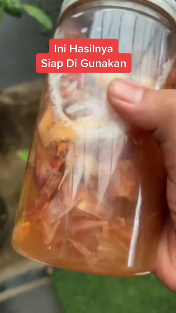 Cara buat pestisida nabati