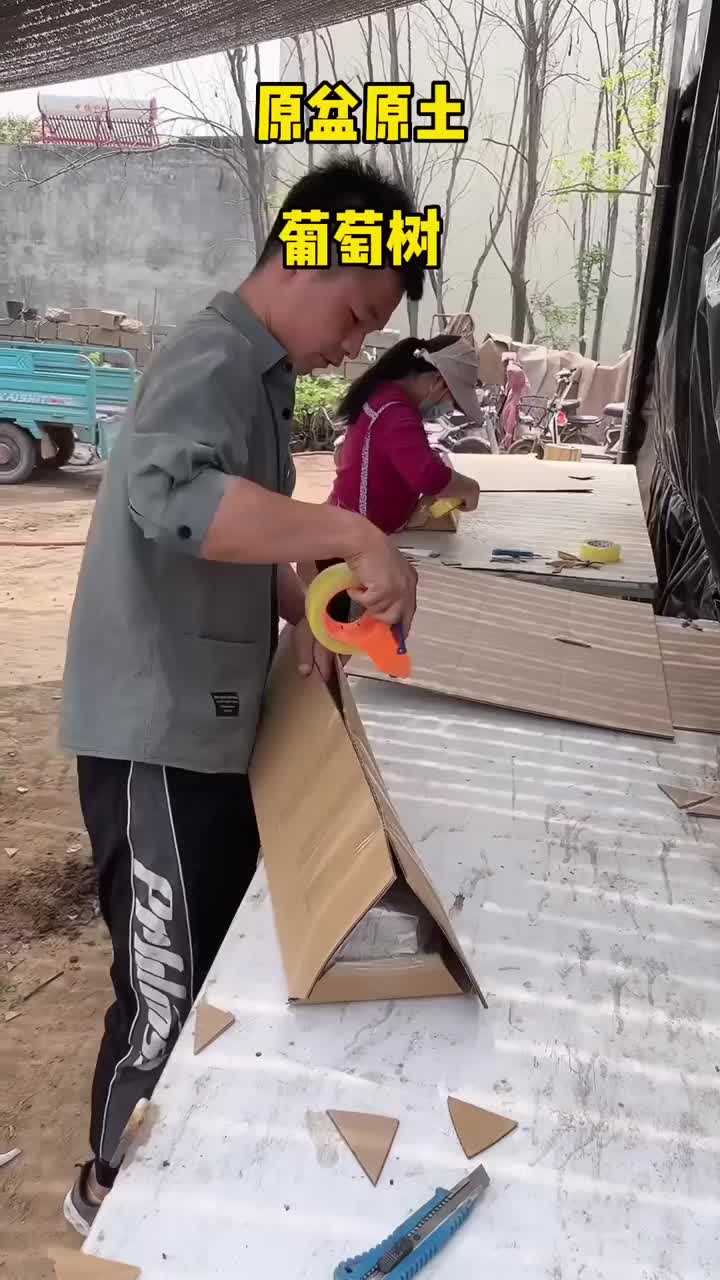 rapih packingnya