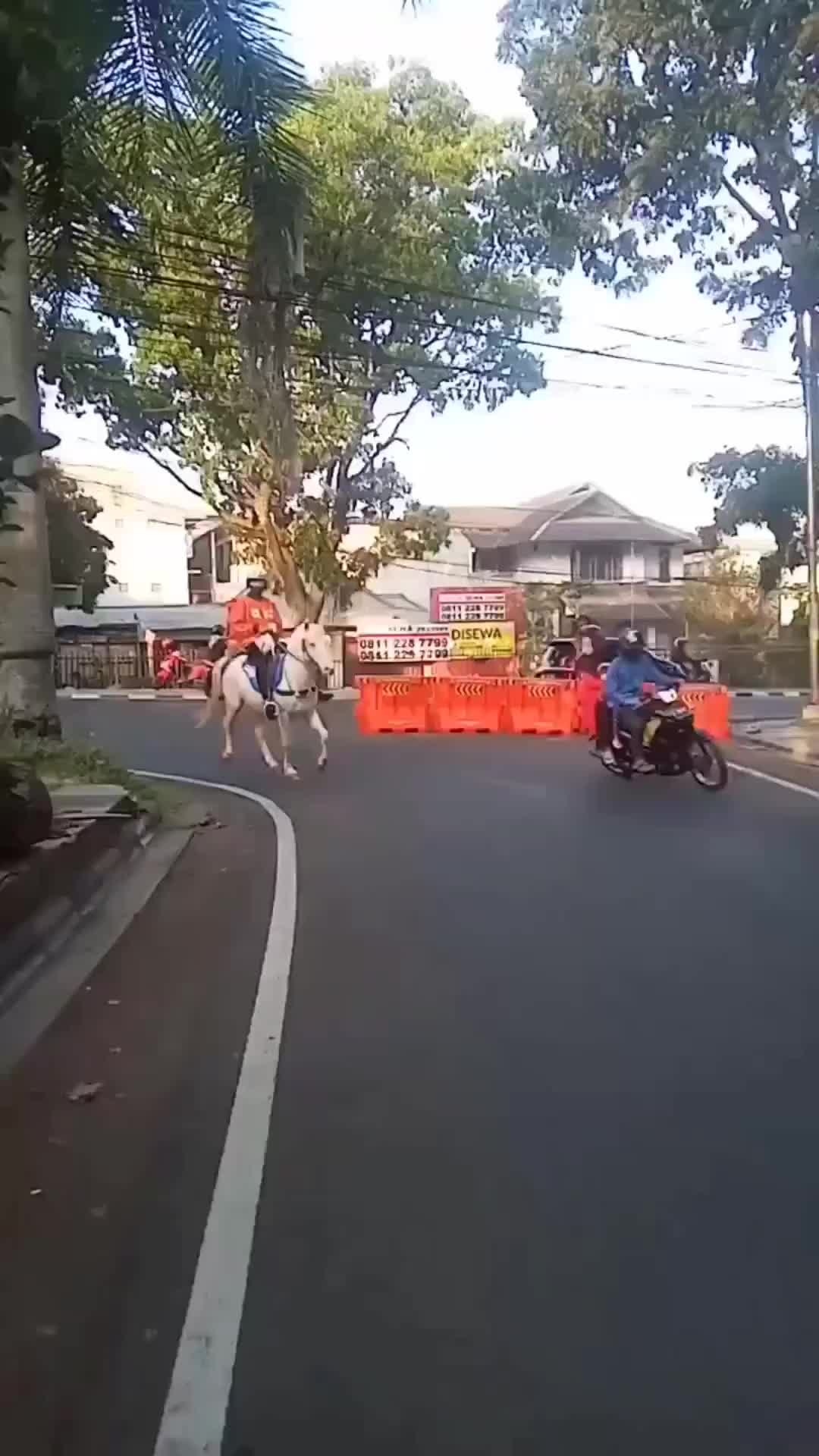 numpak kuda
