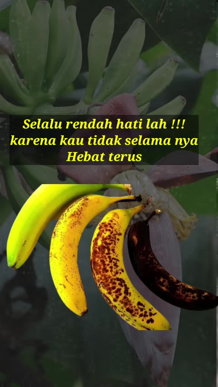 Motivasi & inspirasi