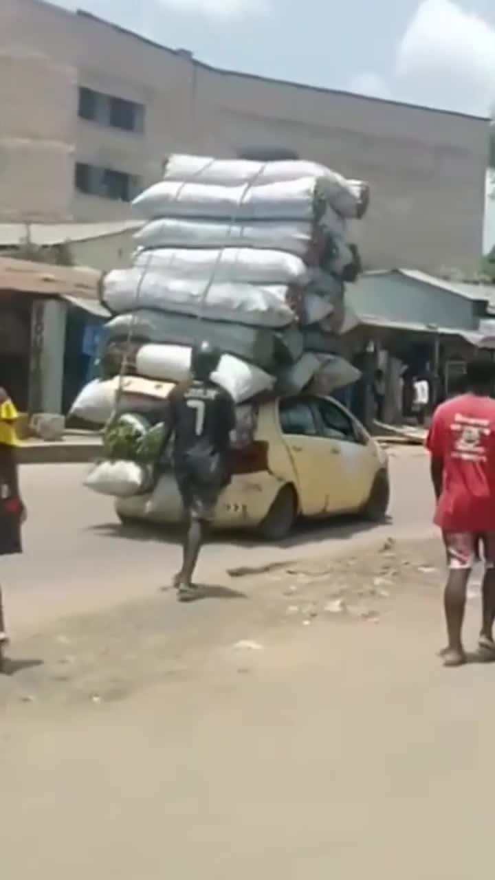 jago banget yang nyusun