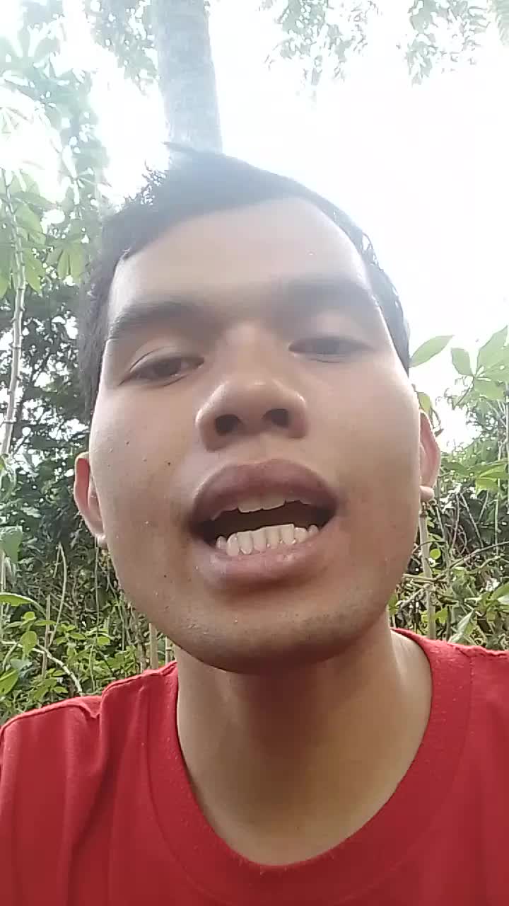 Vierra - Seandainya (Cover Akbar Limbong)
