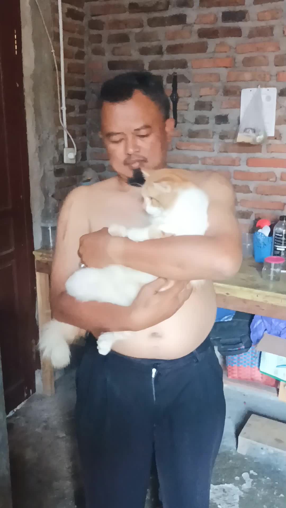 #kucinggemoy