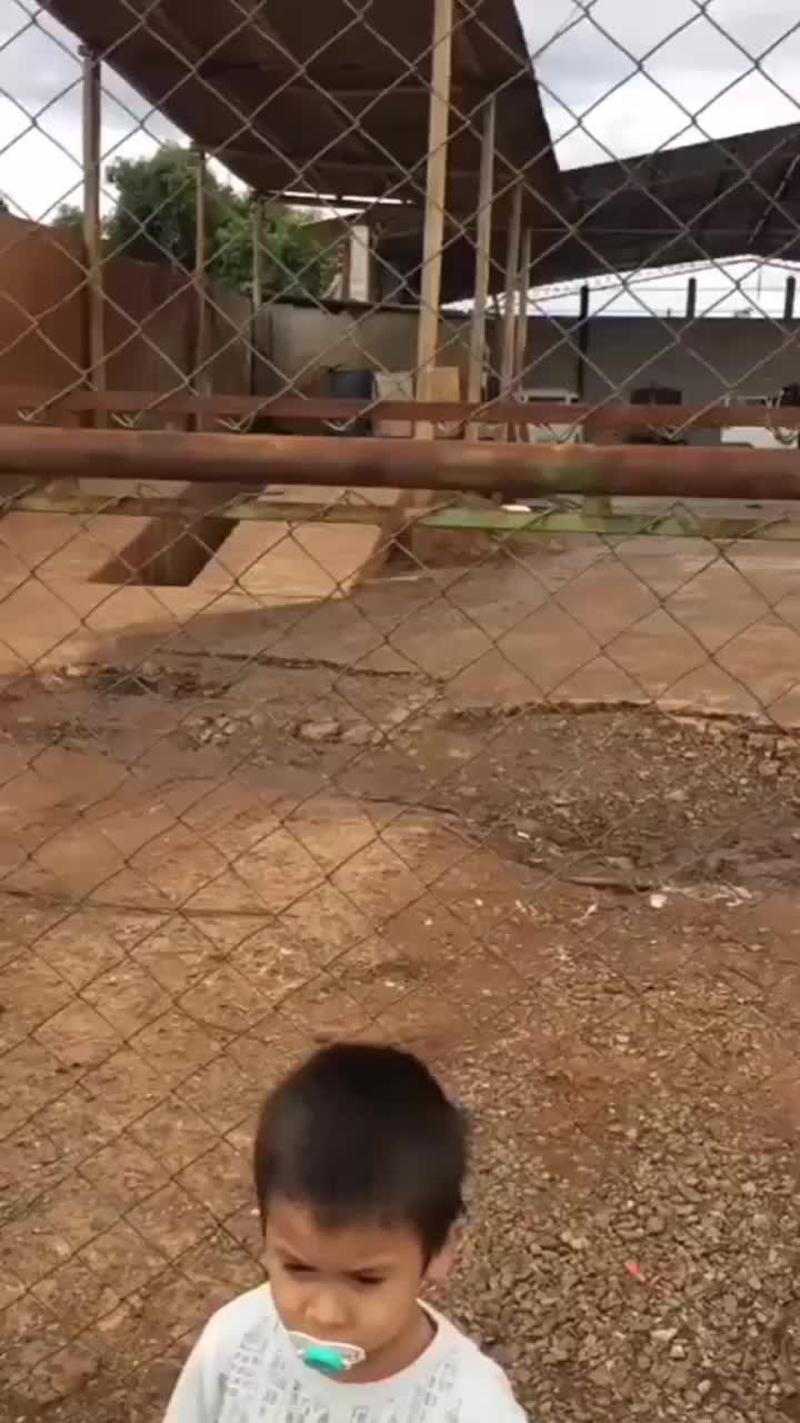 banyak gaya