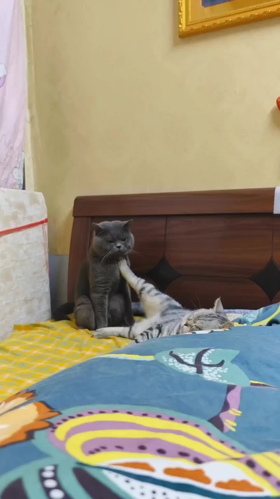 Ketika Ayang Lagi Ngambek