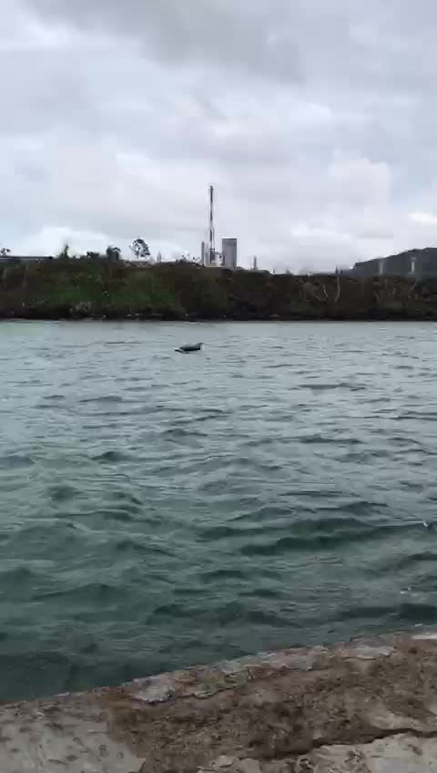 suasana pelabuhan paku anyer di sore hari