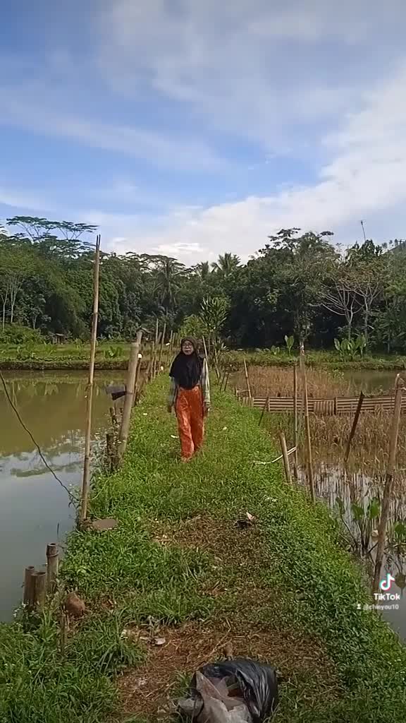 bikin video ketika botram makan bersama di sawah n sambil bergaya kaya model pun bisa walau umur dah tua hehe 