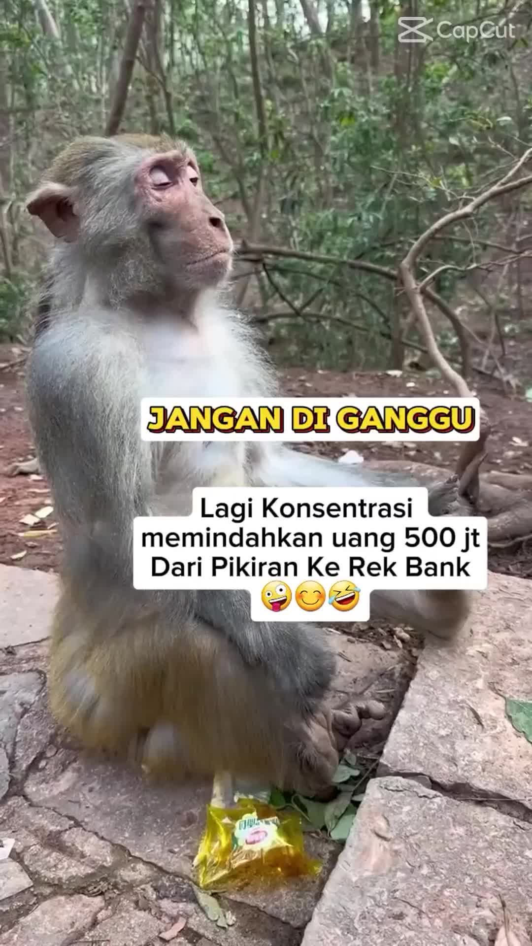 tolong jangan diganggu