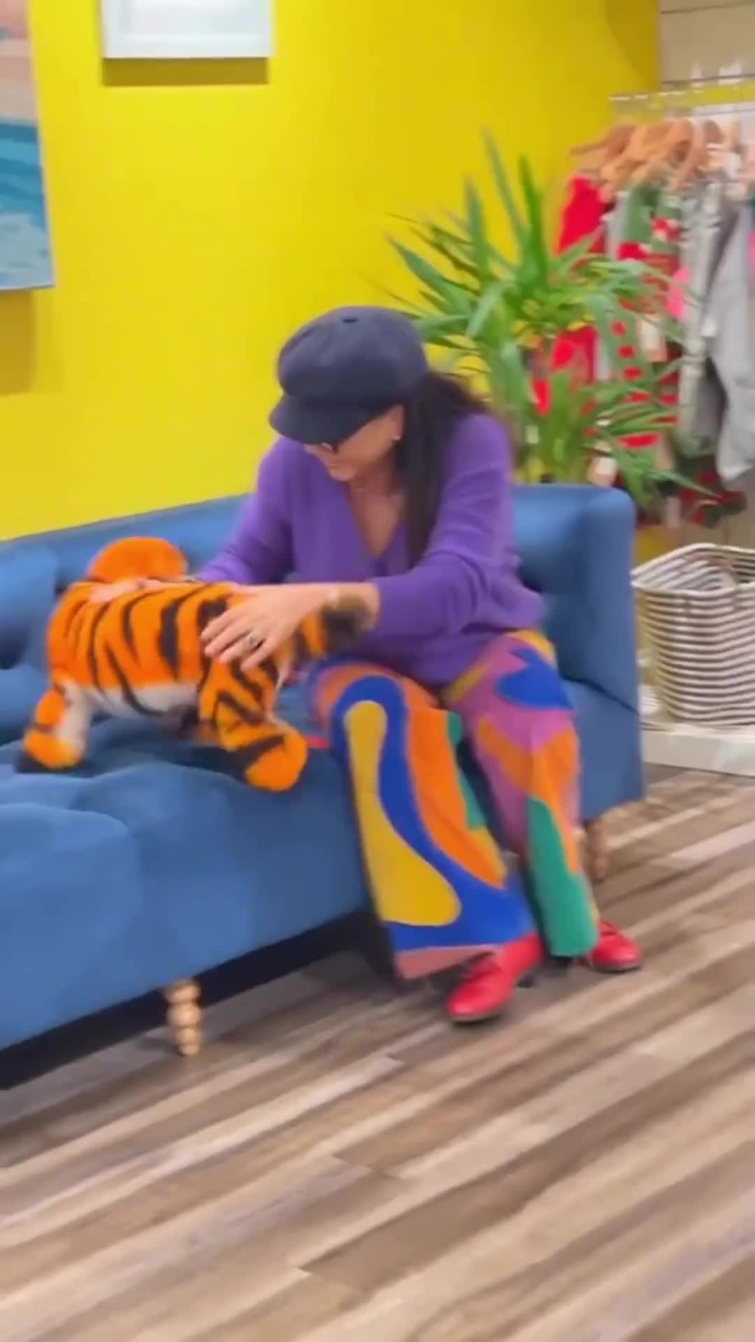 anjing apa harimau