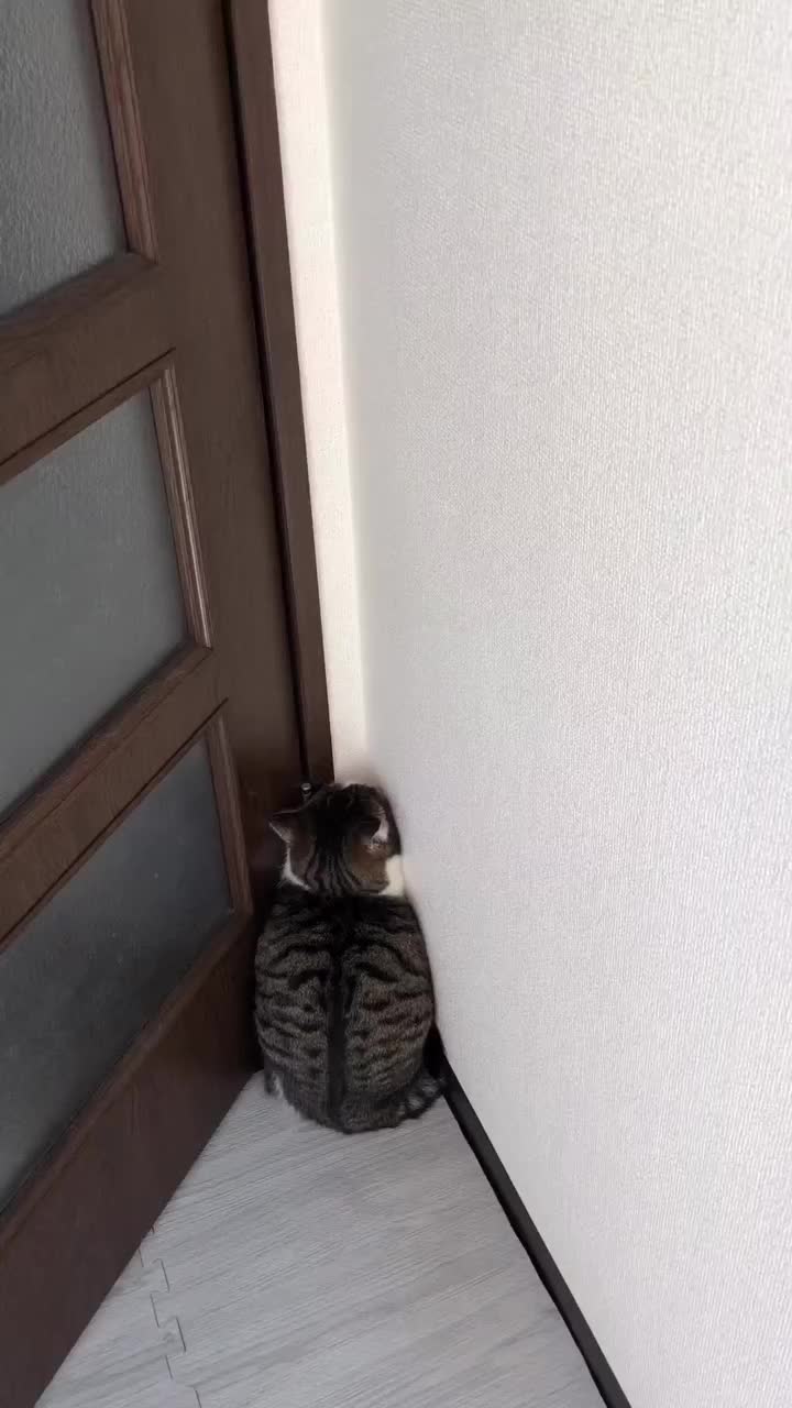 Ga mau ah lagi ngambek