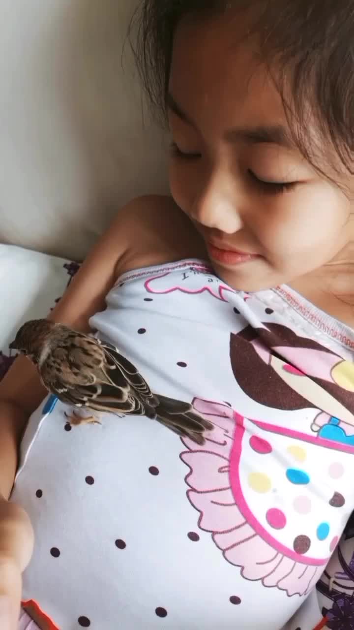 Pembersih karang gigi model terbaru tanpa harus ke dokter gigi