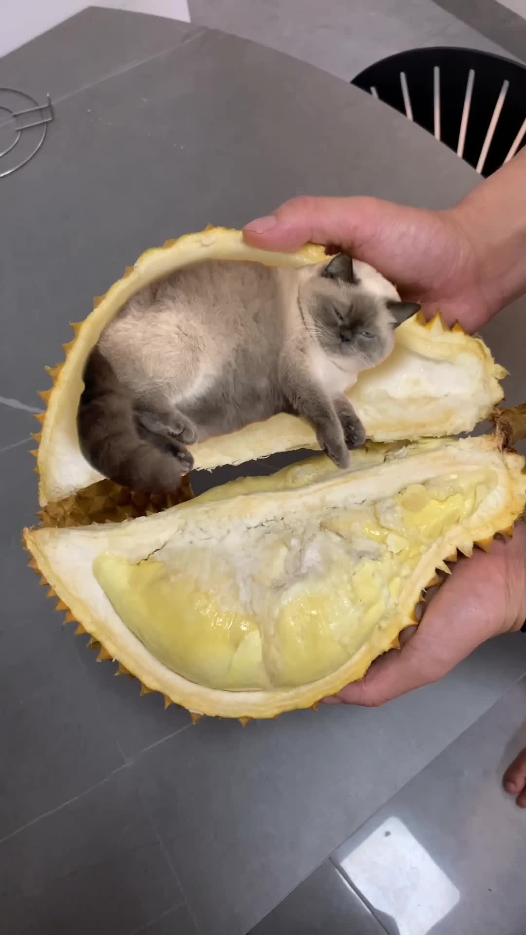 Durian berbuluu