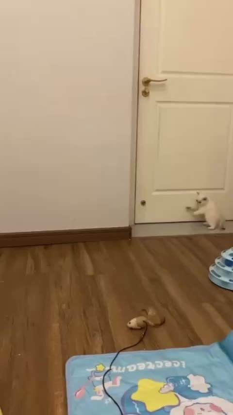 kagetnya gemoy sekali
