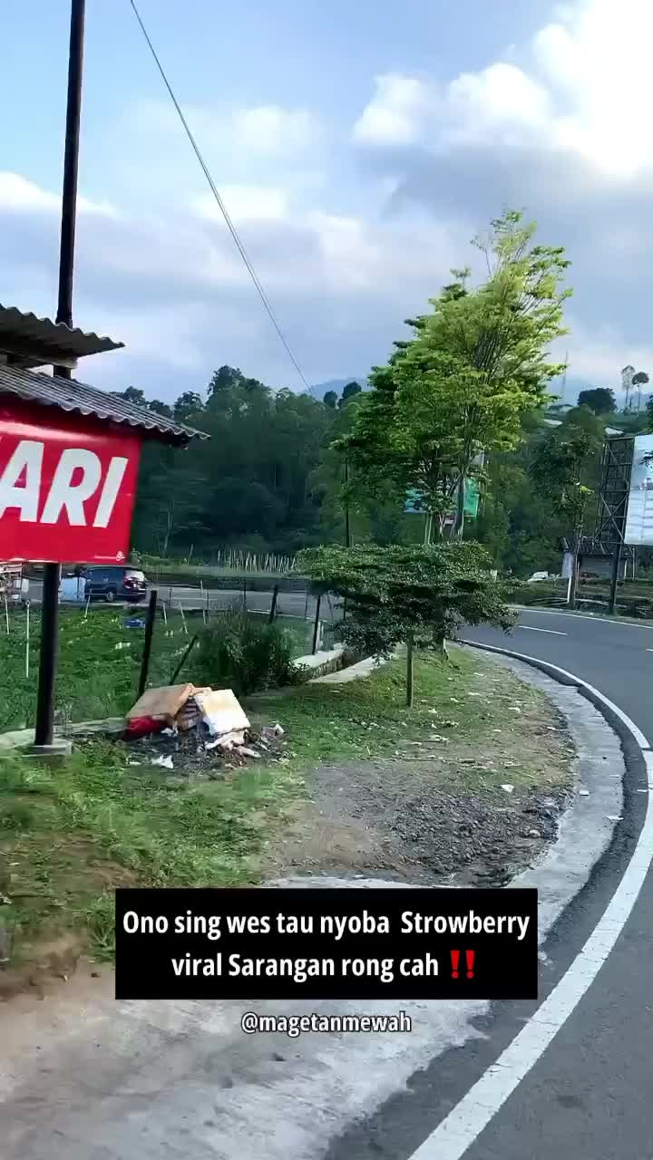Ada yang sudah pernah mampir nyobain strawberry di Sarangan, Plaosan, Magetan