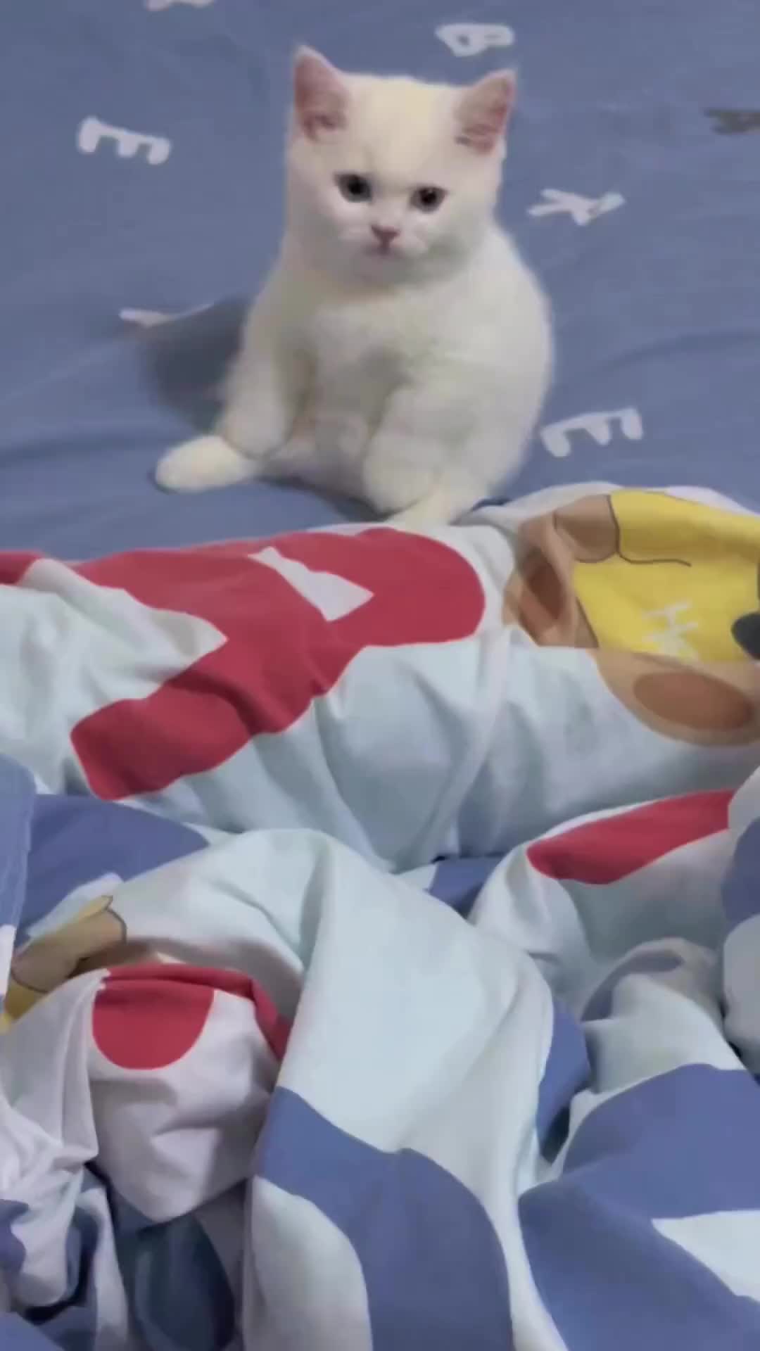 Adik Kecil yang Baik hati