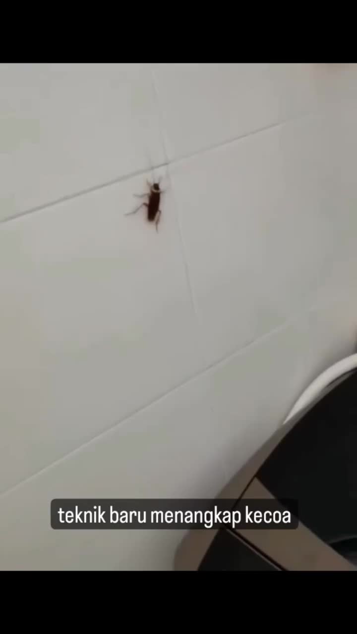Leh uga buat bantai kecoa