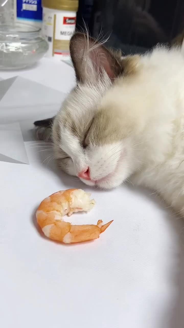 Langsung mimpi keknya wkw