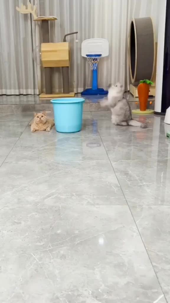 Feeling oren pasti udah kaga enak duluan