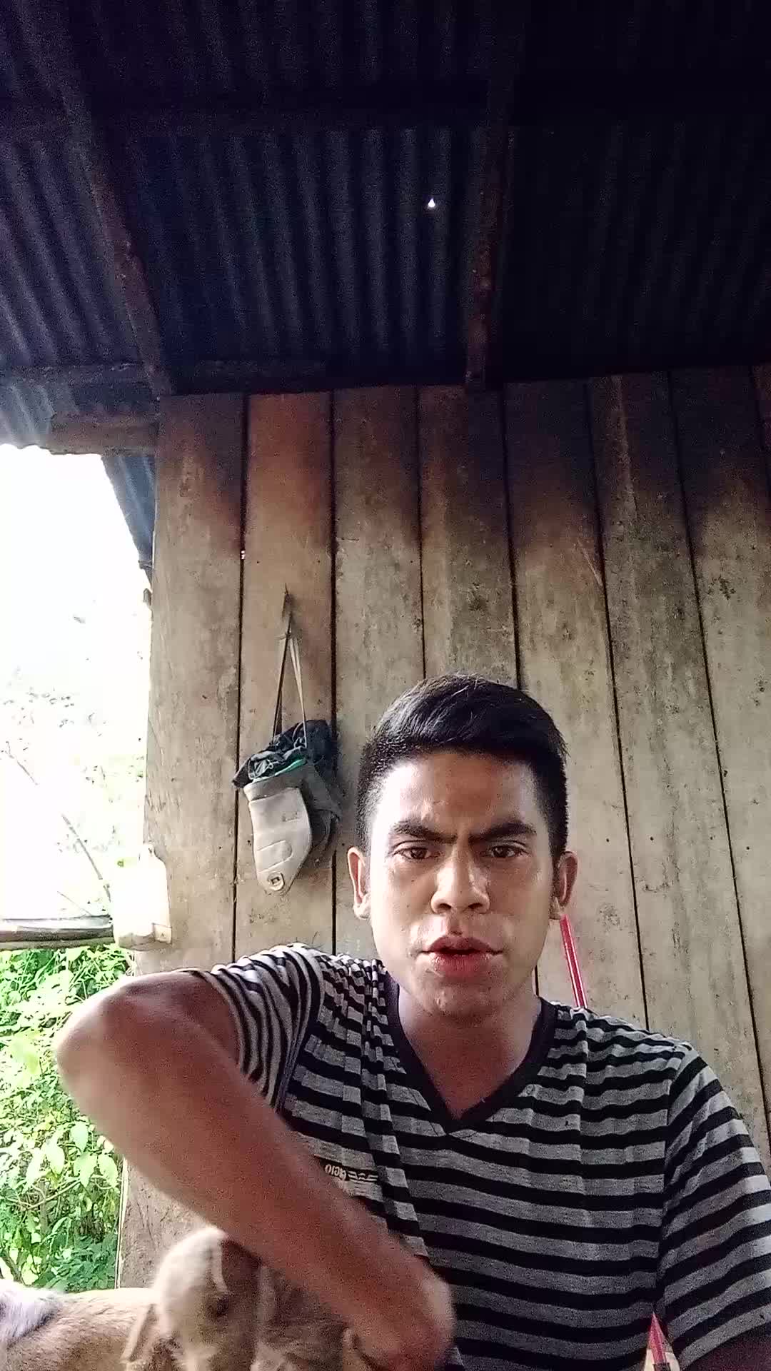 dukung semoga bisa lolos😅 coba sajalah