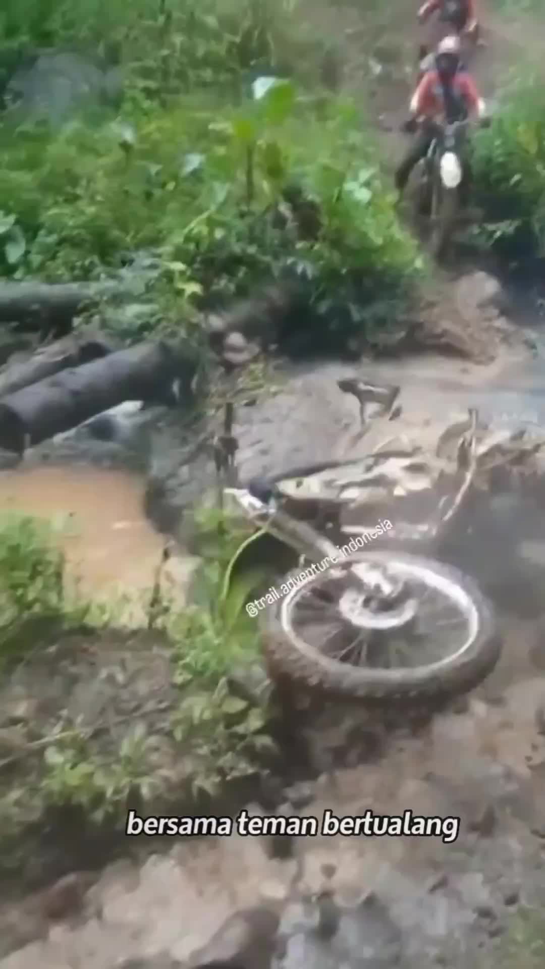 banyak gaya
