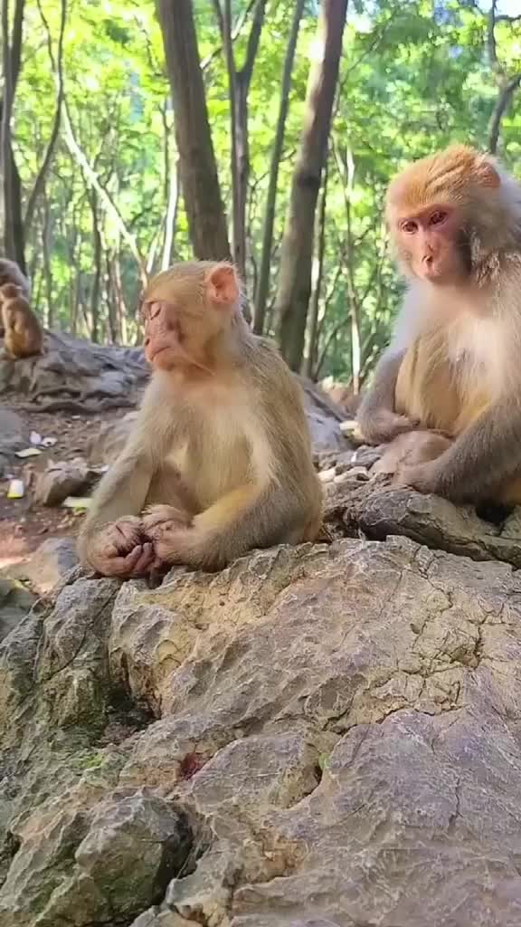 Kurang tidur karna abis begadang