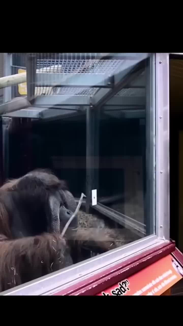 kok bisa?