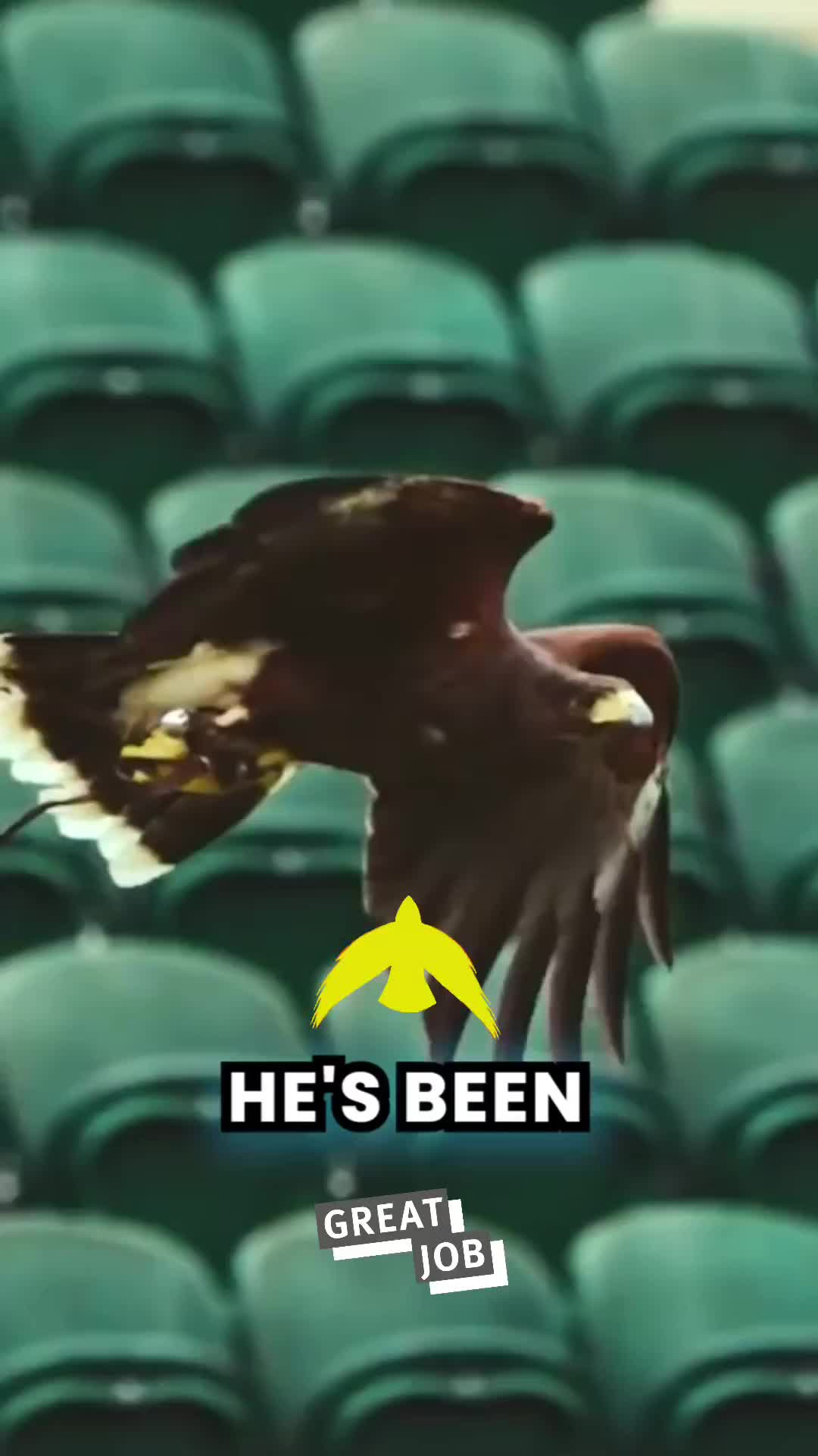 sosok yang penting dalam pertandingan tenis