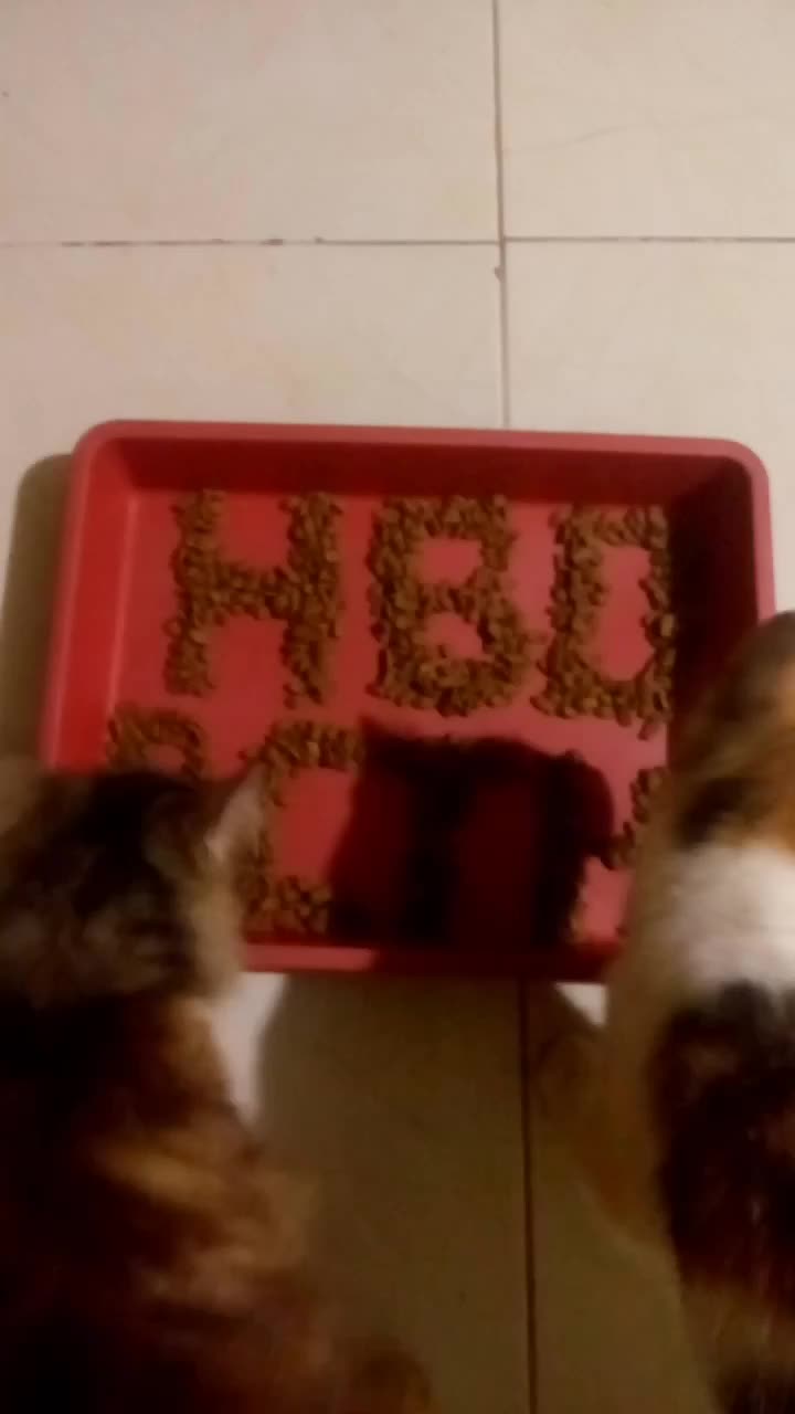 celebration happy anniversary RCTI+ selalu di hati dan selalu di nanti