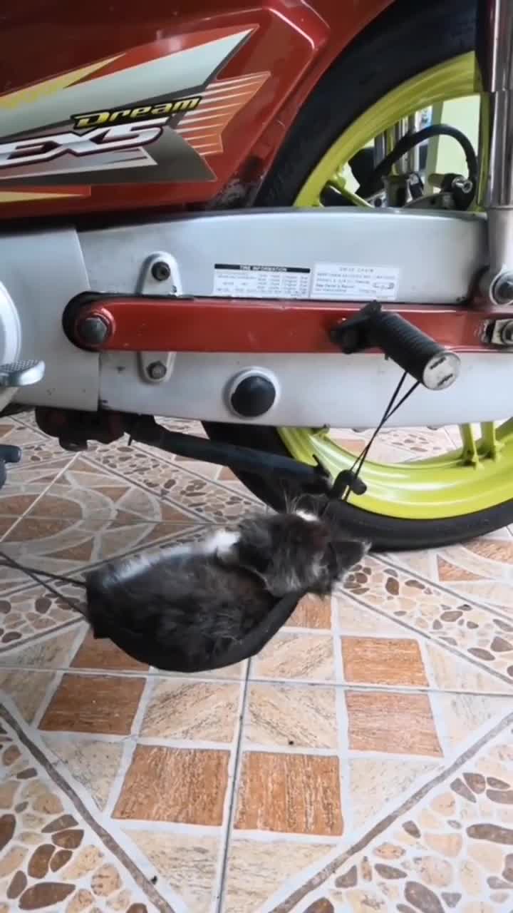 hammocknya lucu