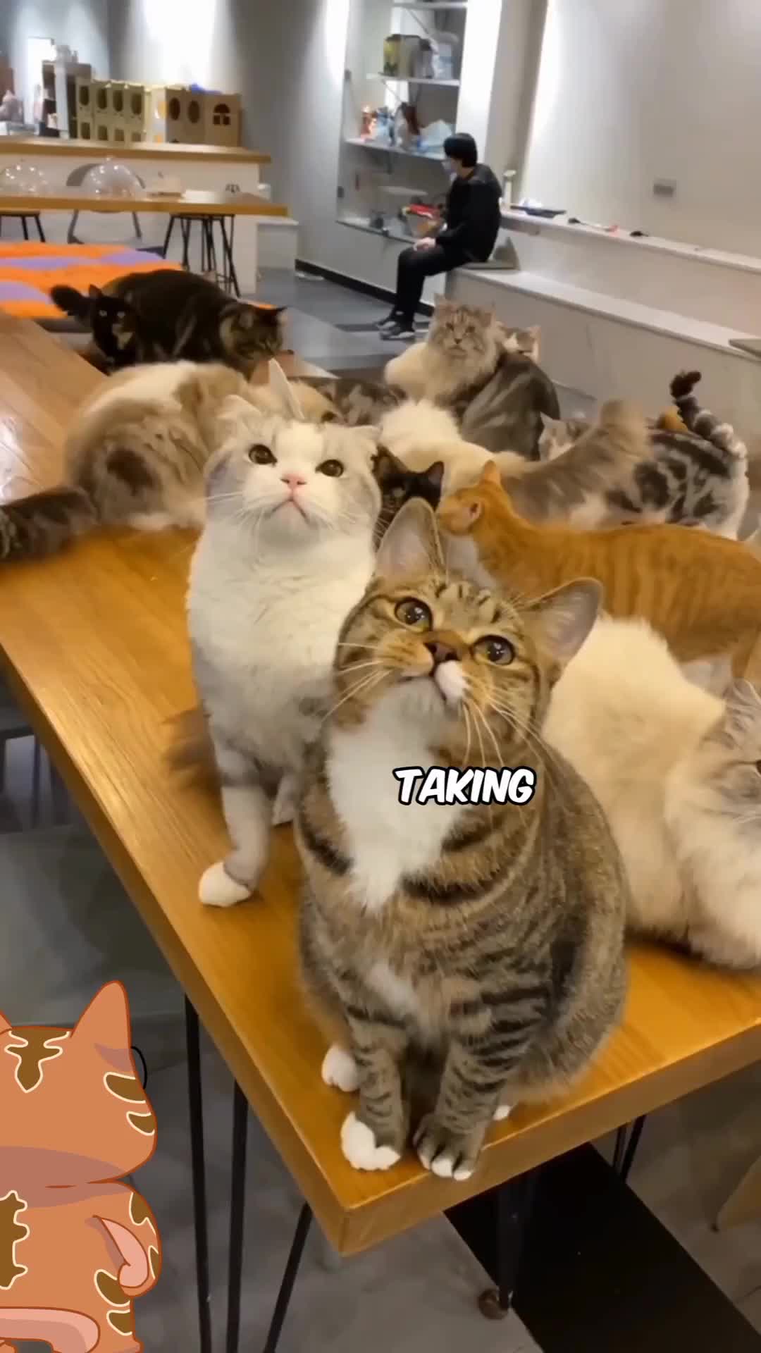 Ssst udah ge aja yg ngomong