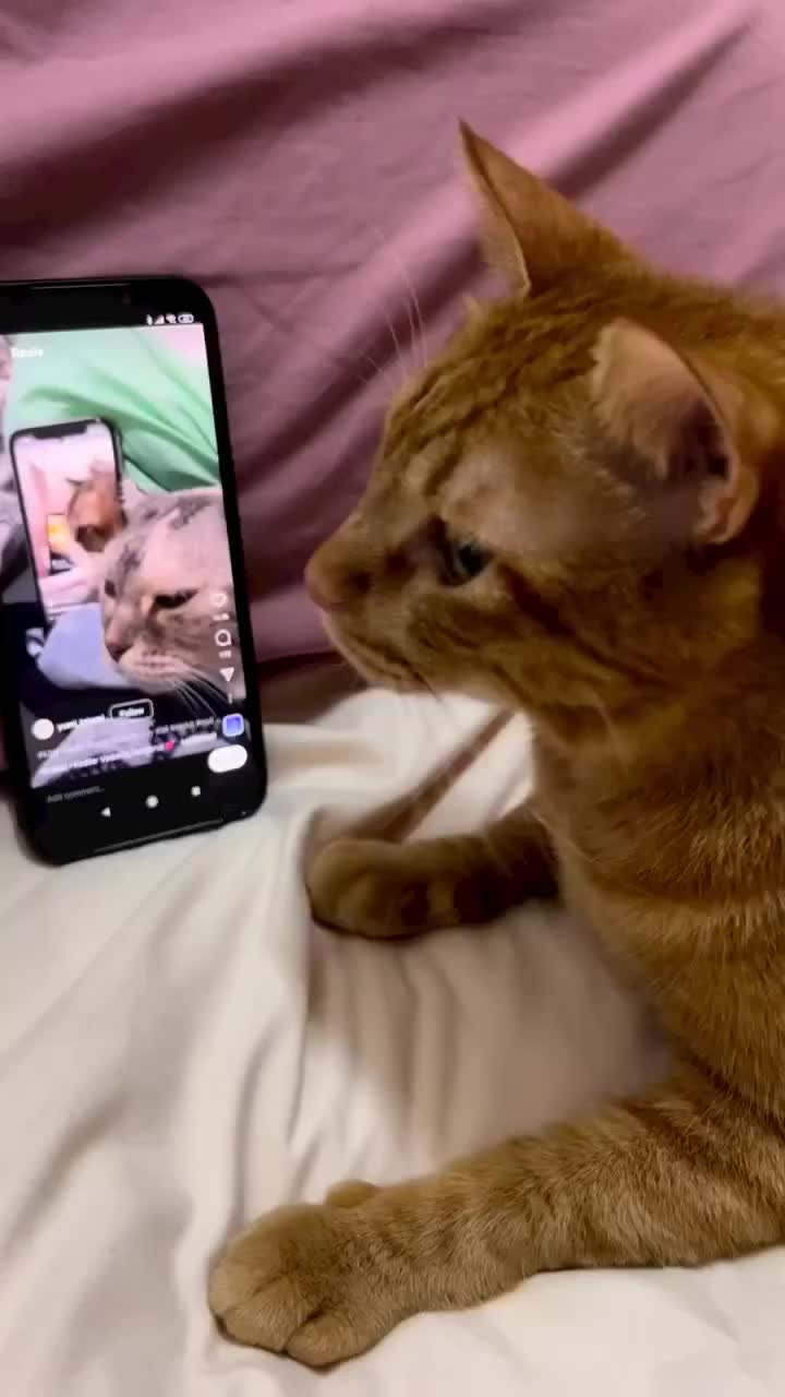 Pov ketika lagi dengerin lagu favorite