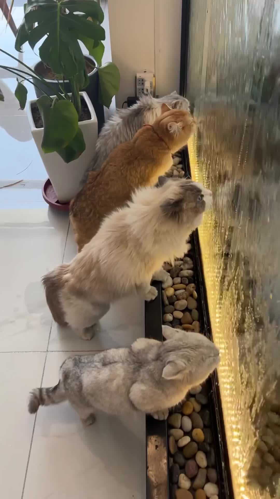 Mencicipi ari terjun