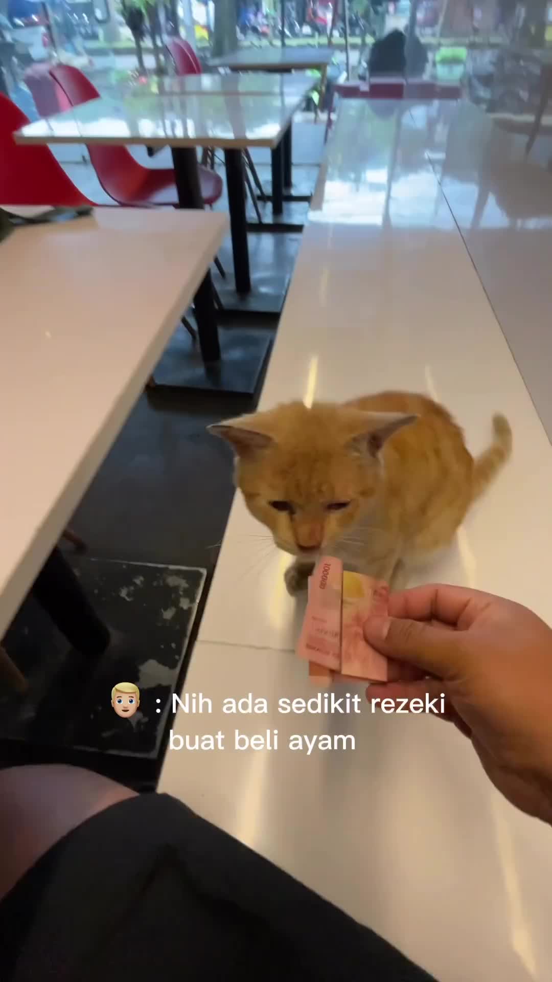 sebuah plot twist yang endingnya membagongkan