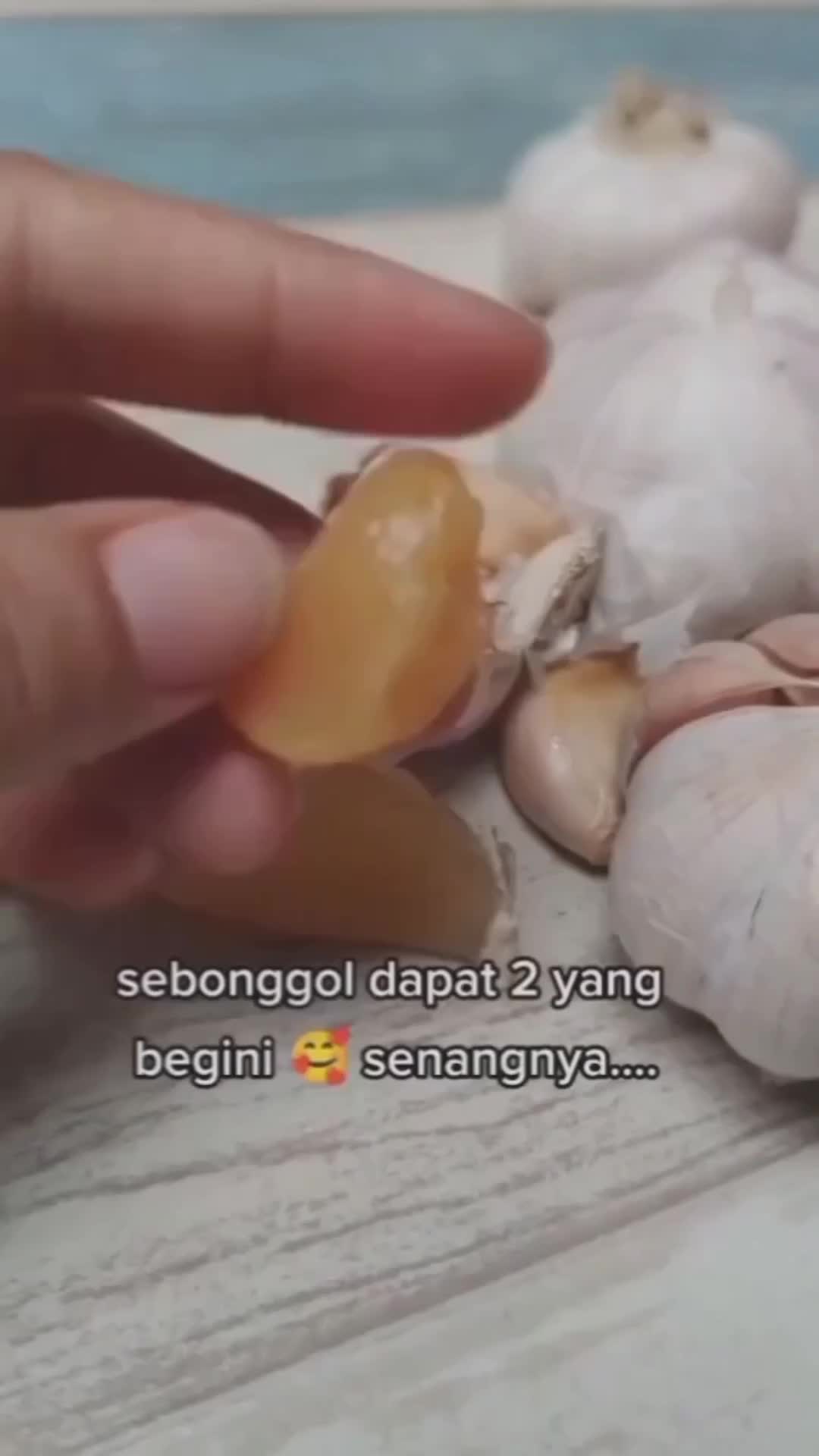 manfaat bawang putih