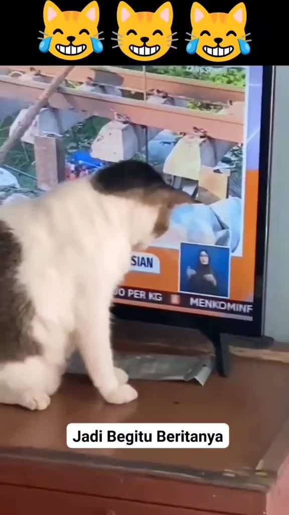 Lagi mengamati berita hari ini