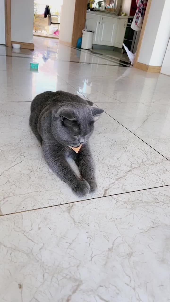 Ambil kesempatan simeng