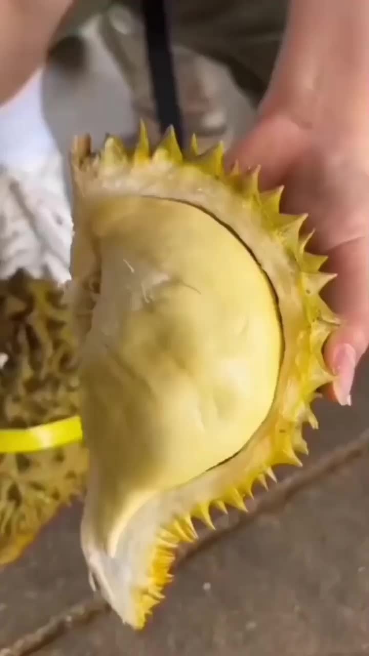 Tebel Banget Dagingnya