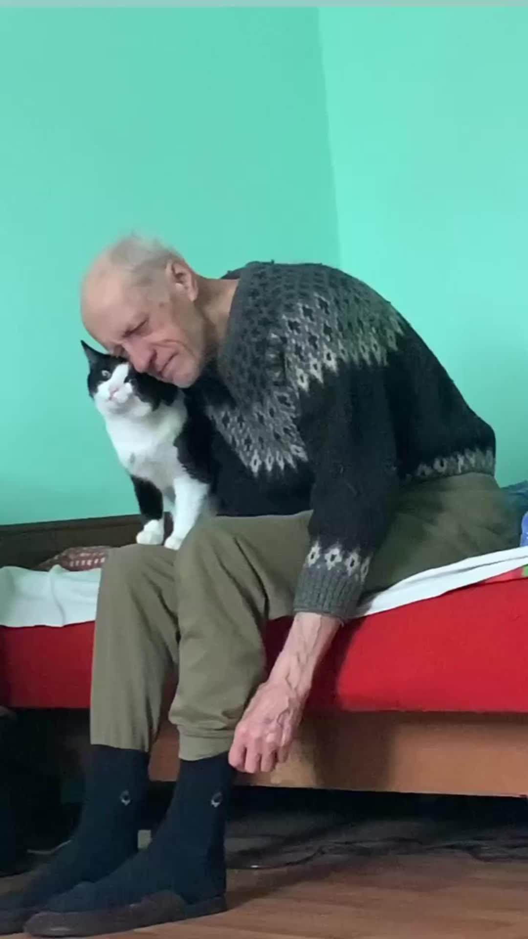 sweet sekalii