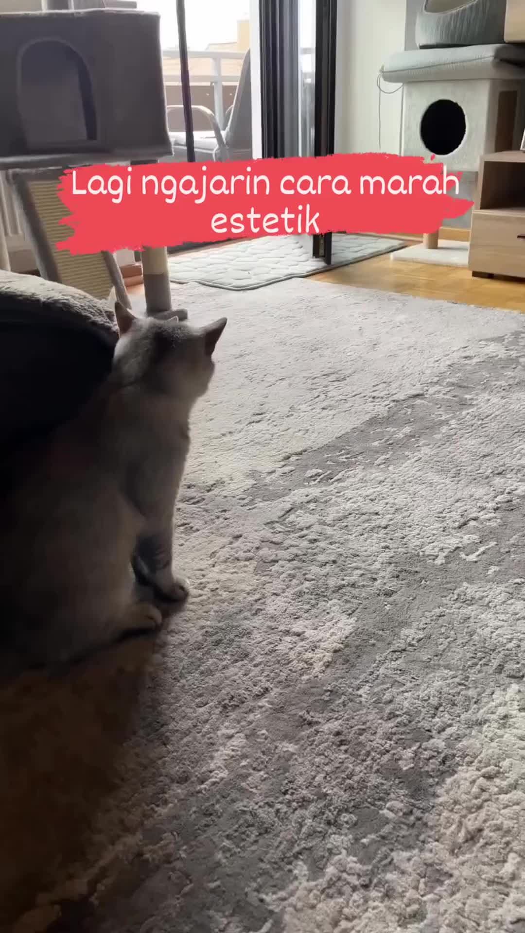 Ngajarin cara mau berantem