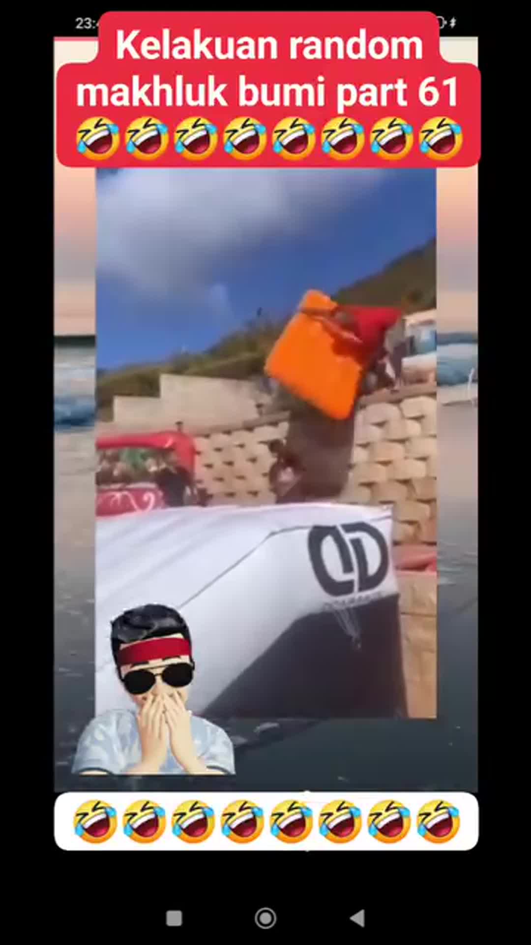 Kelakuan random makhluk bumi