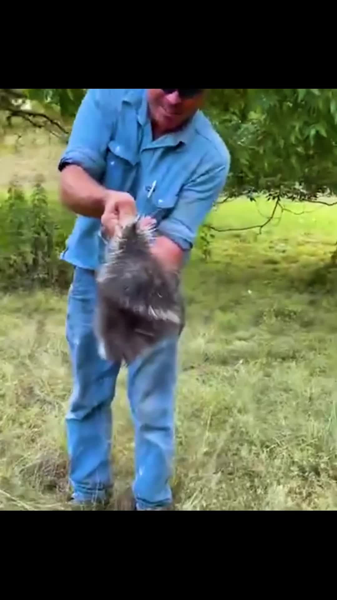 Funniest Animal Fails