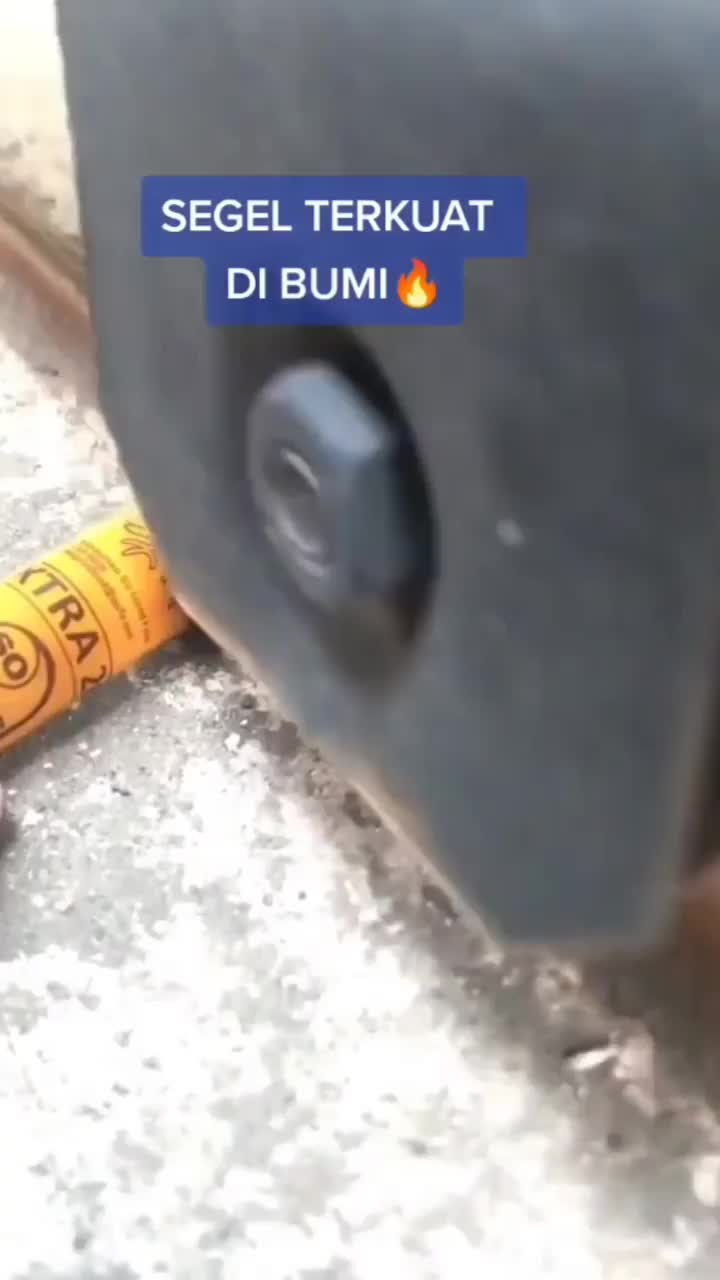 Segel Terkuat Di Bumi