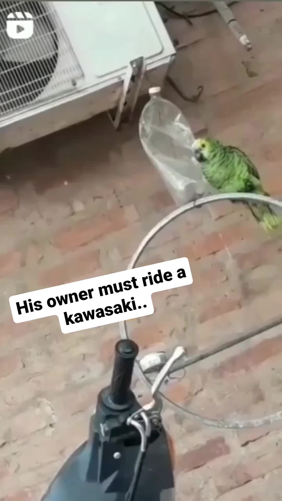 kawasaki banget