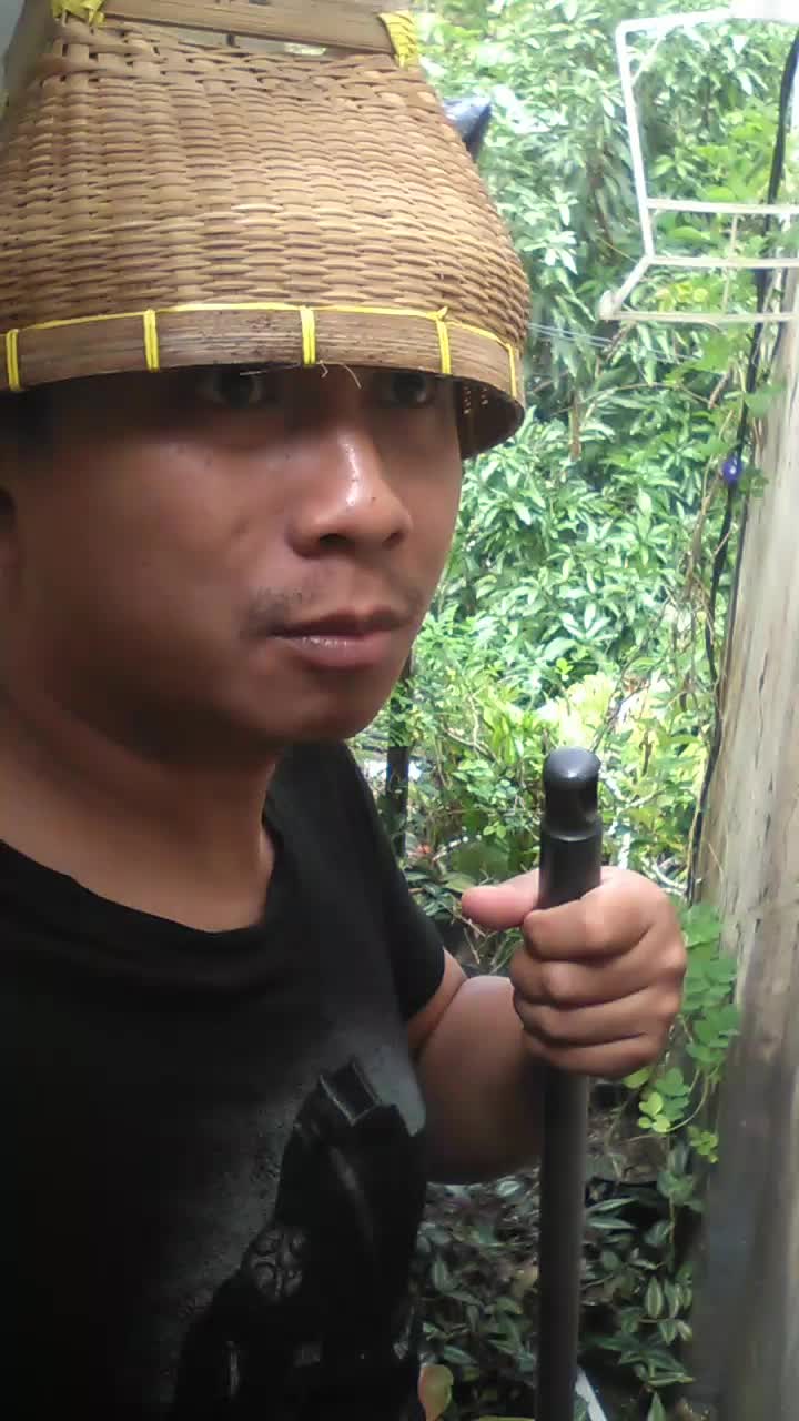 bantu vote share n like
