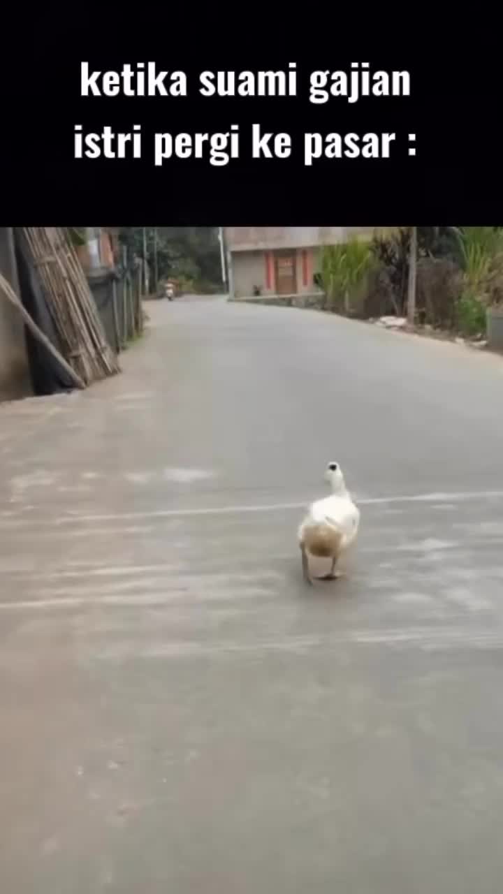 Afah Iyah Benar Demikian Bu?