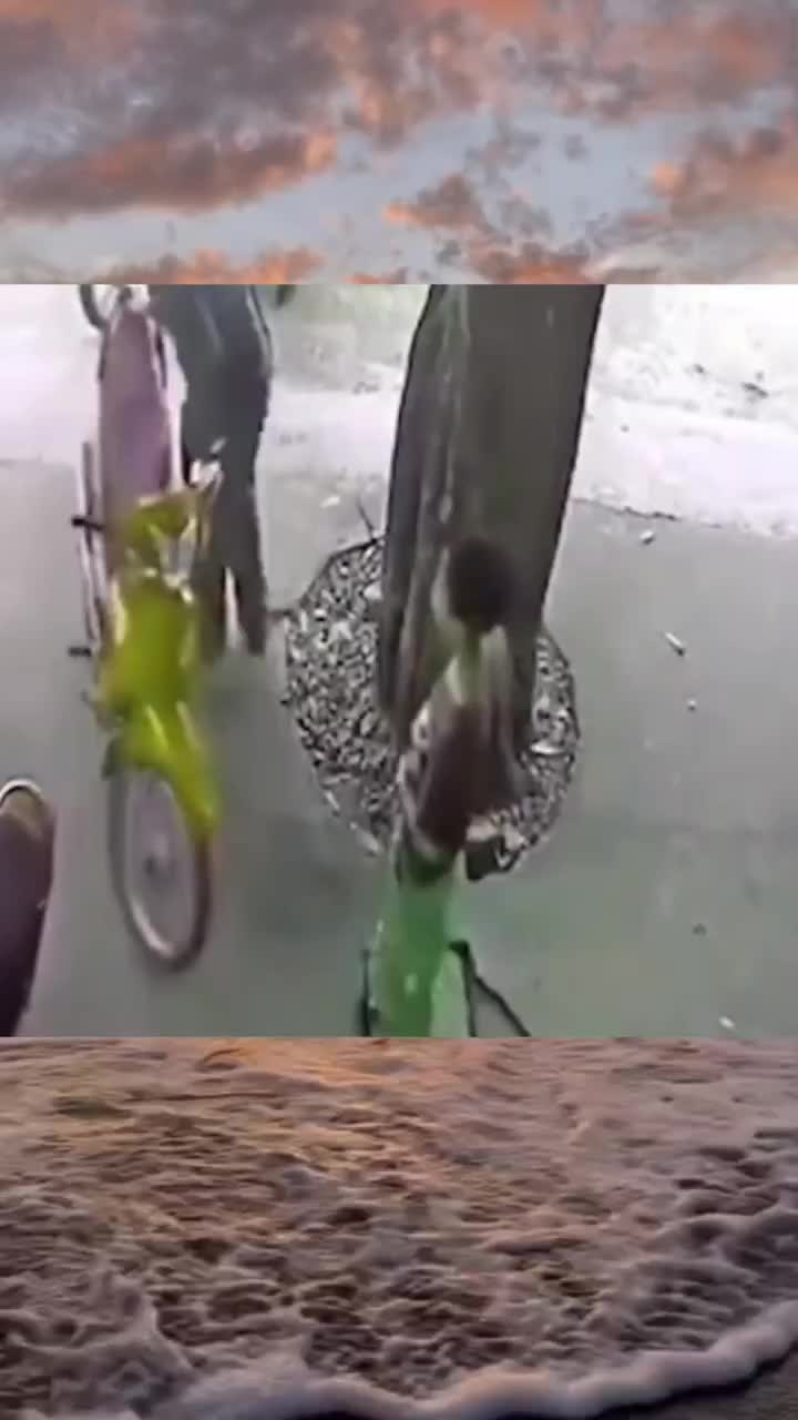 nice trick