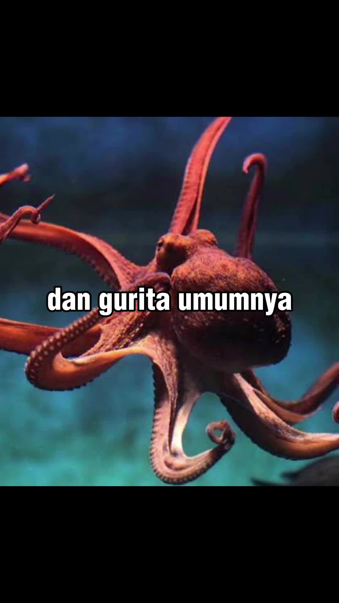 sesungguhnya kita adalah Squidward di dunia nyata