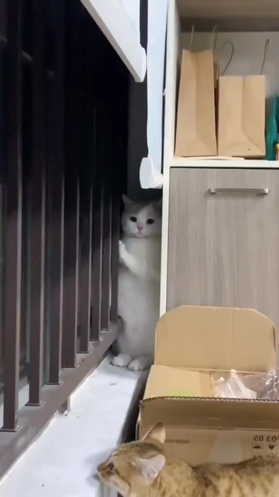 ngumpet dulu dong