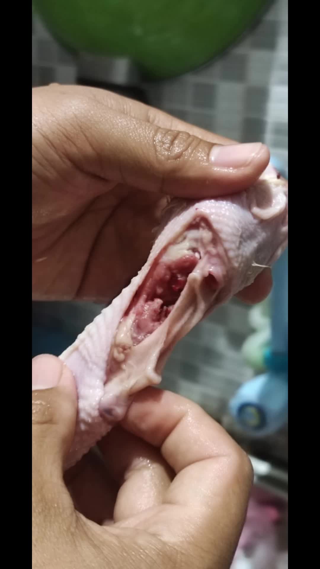 cara bedakan ayam halal dan haram di makan