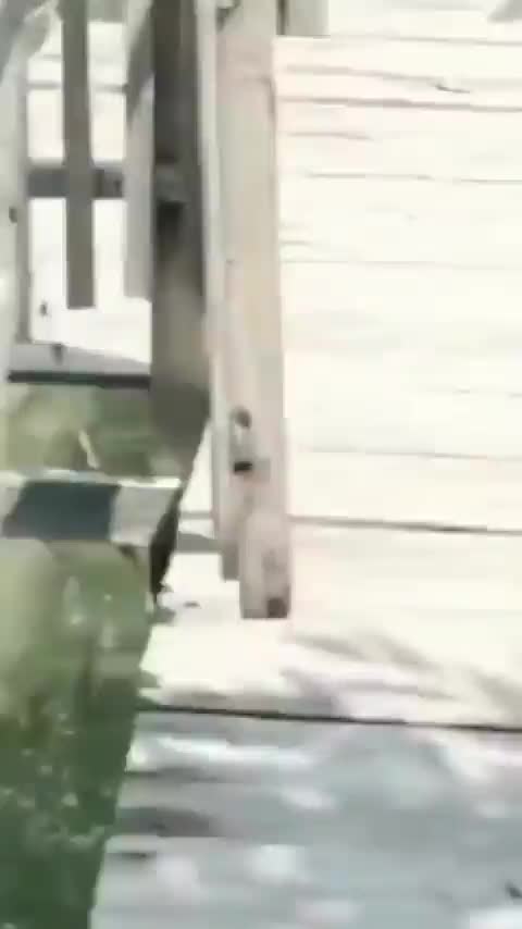 Bapak Bapak Banyak Gaya